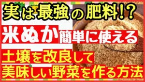 【米ぬかの基本】絶対に使いたくなる米ぬかの上手な使い方♪土作り～肥料・害虫対策まで。メリットと注意点を徹底解説！初心者・家庭菜園