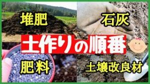 家庭菜園の土作りで石灰・堆肥・肥料を入れる順番を解説するアイキャッチ画像