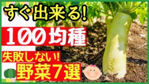【プランターOK！育てやすい100均の種】とんでもなく良く育つ♪初心者でも簡単に収穫できるオススメ野菜7選～初心者・家庭菜園～のアイキャッチ