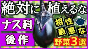 ナス・トマト・ピーマンの後に植えてはいけない野菜とおすすめ後作のサムネイル