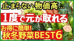 【家庭菜園初心者向け】物価高騰に強い！費用対効果が高い・秋冬野菜6選のアイキャッチ