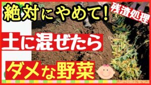 畑に混ぜてはいけない野菜残渣とは？安全な処理方法と堆肥化のコツ