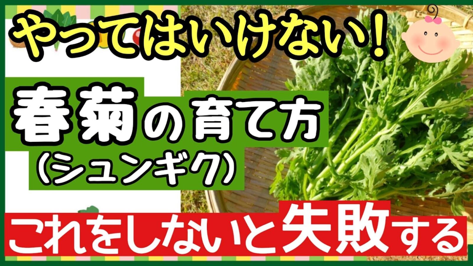 春菊の失敗しない育て方!初心者向け栽培方法と収穫のコツ【完全ガイド】