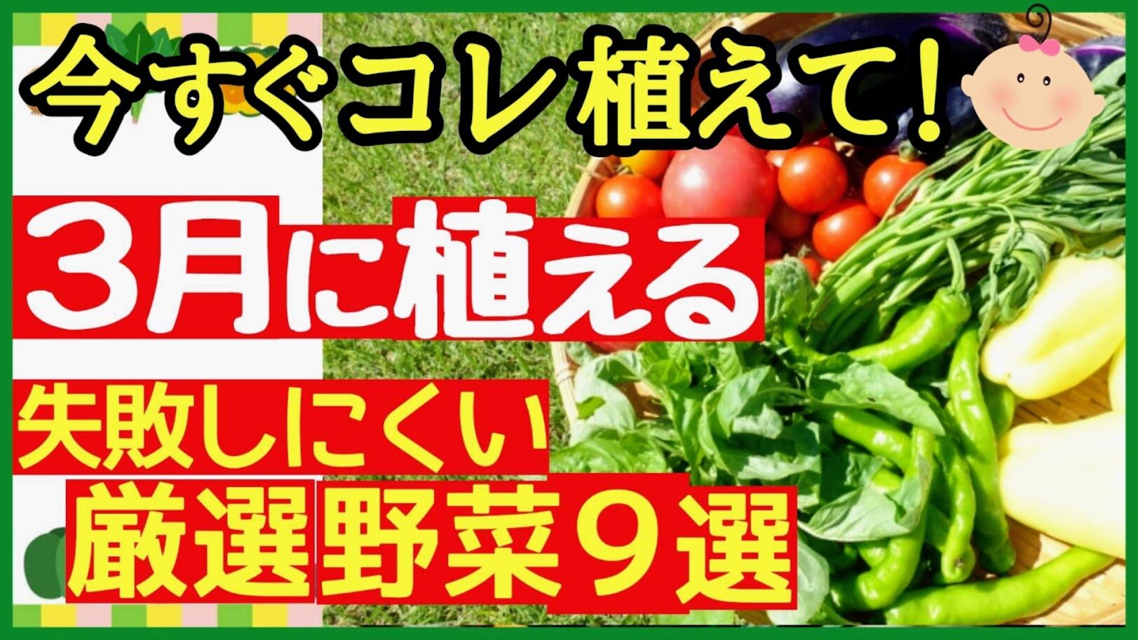 3月に植える野菜｜初心者向けおすすめ9選・プランター家庭菜園