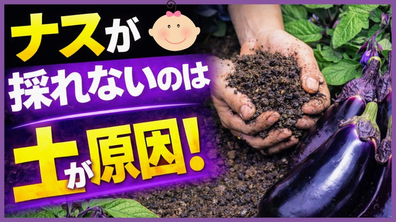 なすページ ナスの育て方｜収穫量が変わる土づくり！初心者でもできる簡単ステップ
