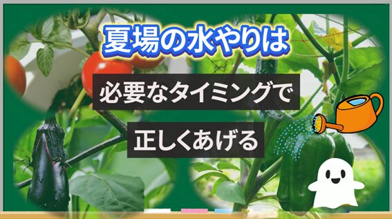 夏野菜の水やりで土の湿り具合を確認するイメージ