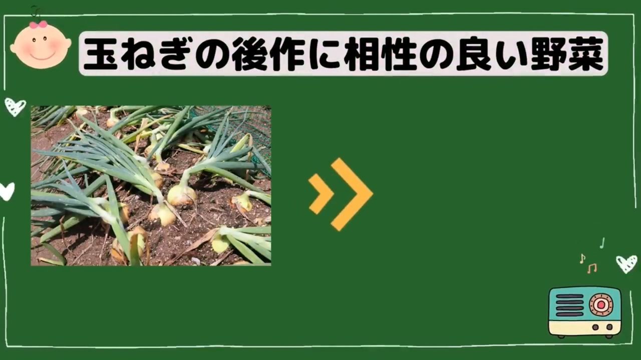 玉ねぎの後作に相性の良い野菜を紹介する画面