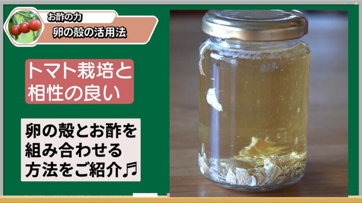 お酢スプレーを使う時の注意点を説明する画像