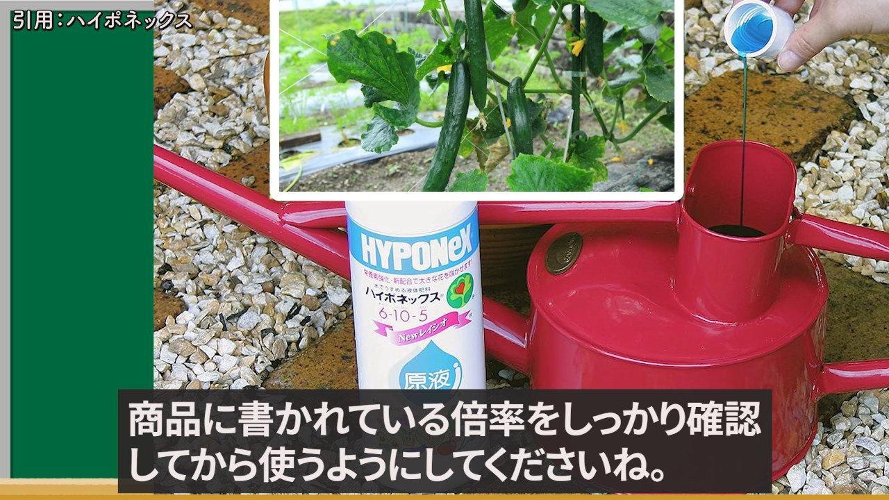 液体肥料は商品の倍率を確認して使う注意場面