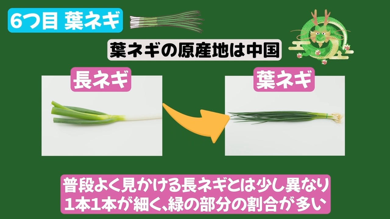 長ネギと葉ネギの違いを比較して説明する動画画像