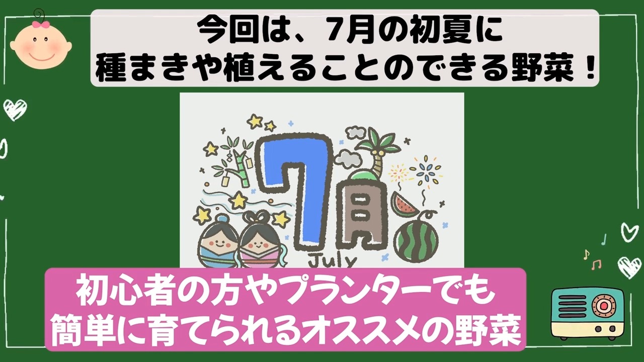 7月に種まきや植え付けできる野菜を紹介する動画の場面