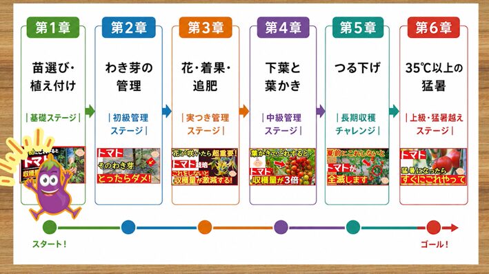 トマト栽培をステージ順に確認する豆知識の画像