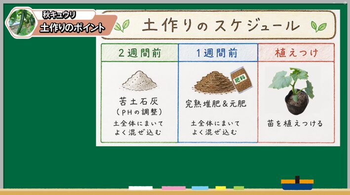 秋キュウリの植え付け前に行う土作りと元肥