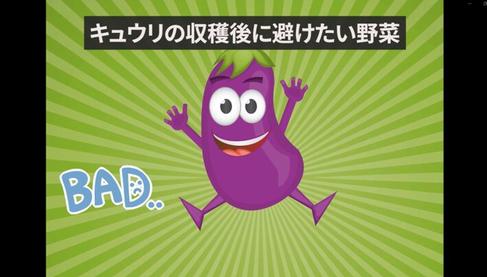 キュウリの収穫後に避けたい野菜を紹介する画像