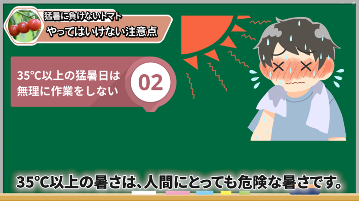 暑い時間帯の作業を避けたいトマト畑
