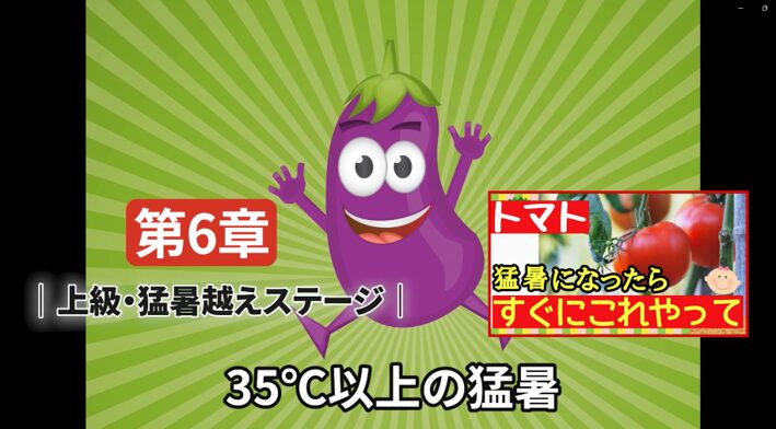 支柱を越えたトマトを摘芯せずつる下げする方法を解説する画像