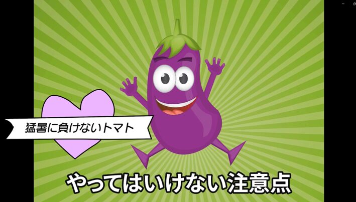 35℃以上の猛暑日に注意したいトマト管理