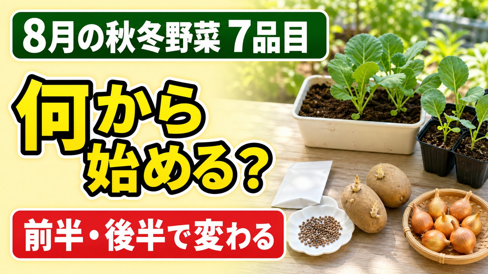 8月の秋冬野菜7品目を種・苗・種イモ・種球の何から始めるか案内するアイキャッチ