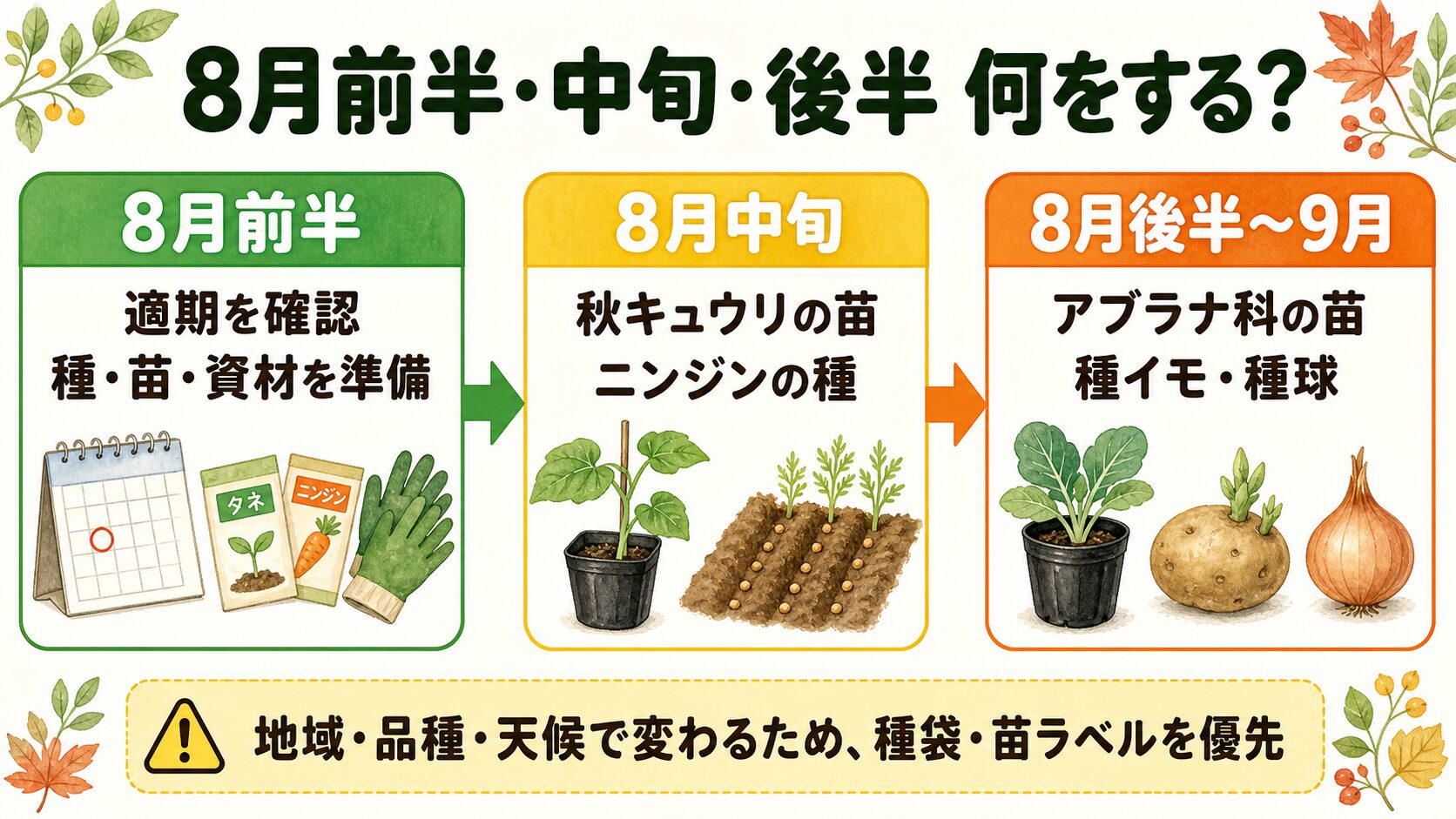 8月前半・中旬・後半から9月に行う秋冬野菜の準備を示した図
