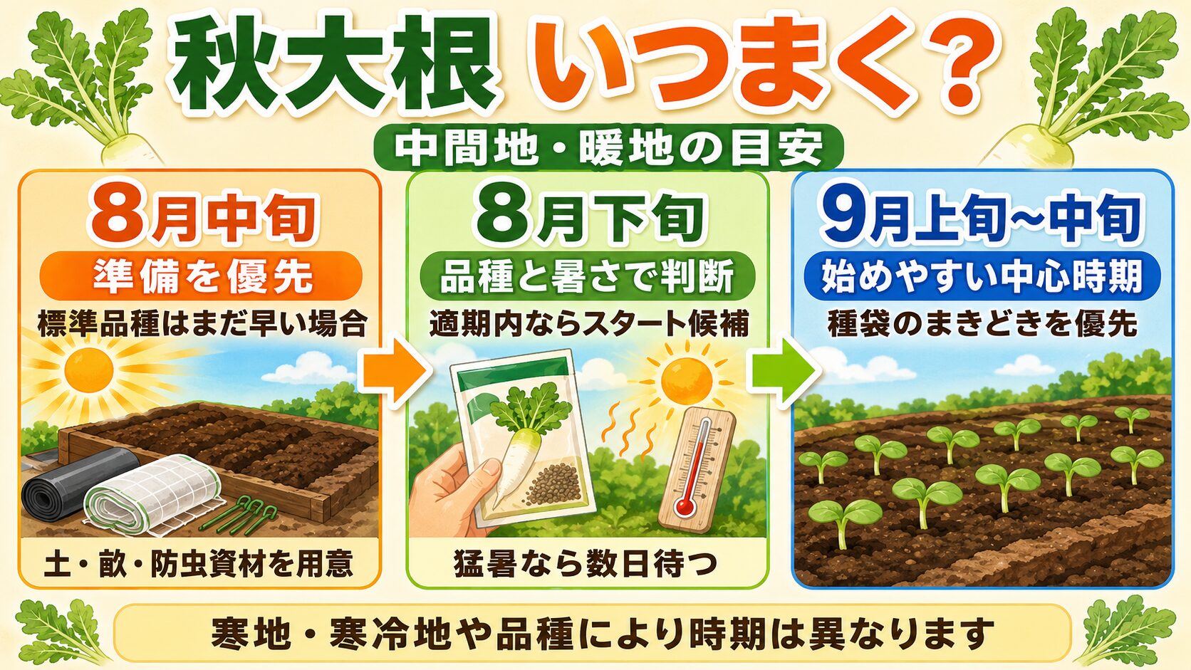 秋大根の8月中旬、8月下旬、9月上旬から中旬の種まき判断を示した図