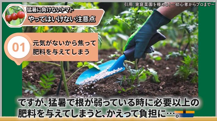 猛暑日に焦って追肥しないための注意点