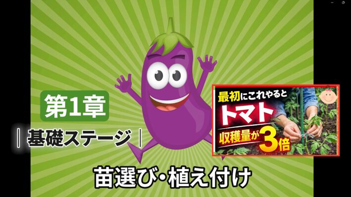 トマトの苗選びと植え付けで起こる栽培ミスの解説画像