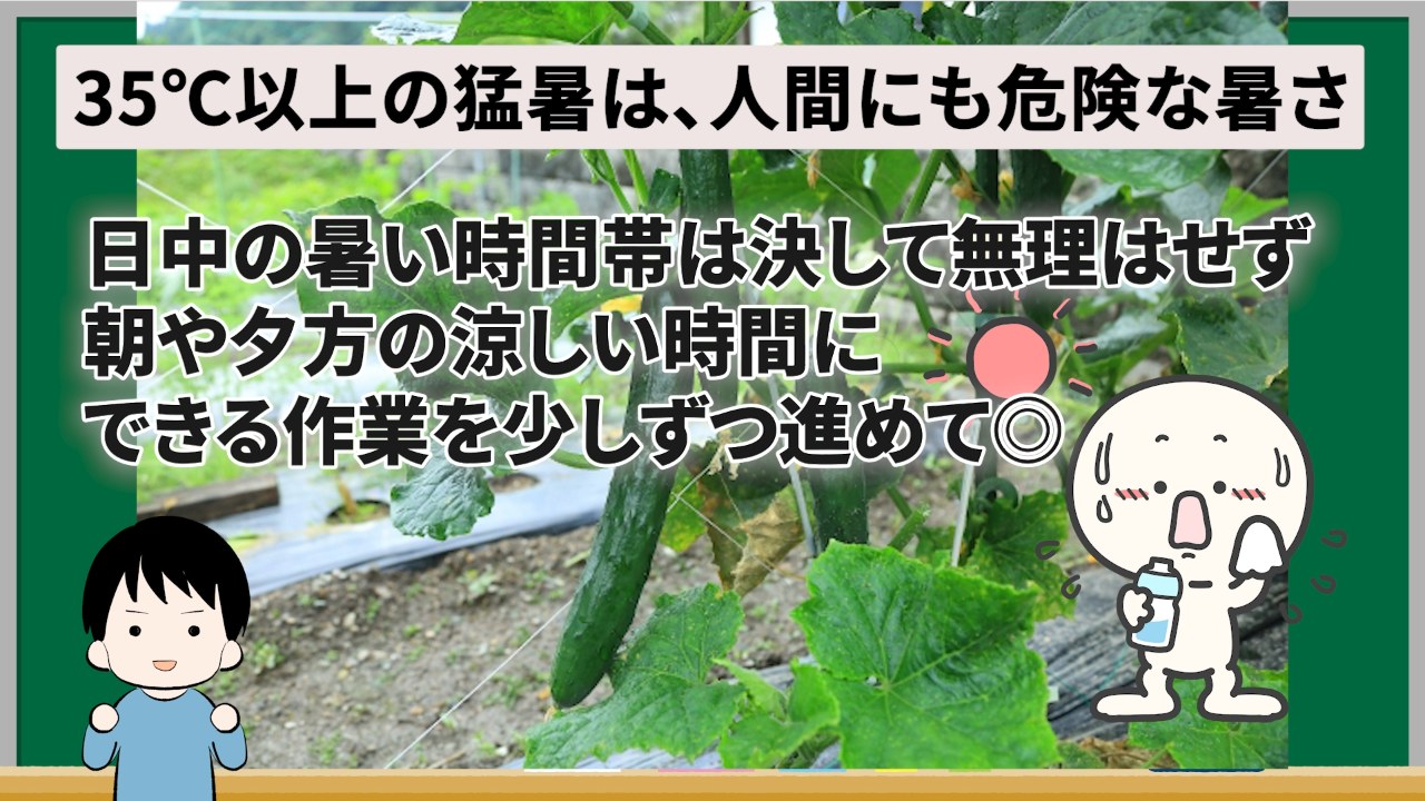 35℃以上の猛暑日は日中に無理をせず朝夕に作業する注意喚起画像