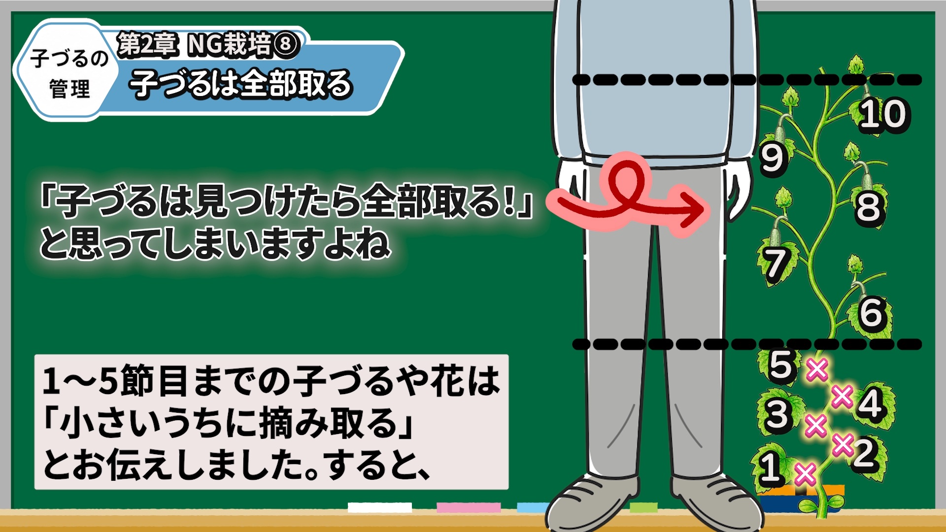 キュウリの下位節の子づるを整理し上部の子づるを残す画像