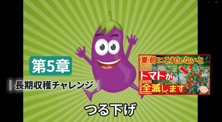 トマトの下葉と葉かきで起こる栽培ミスの解説画像