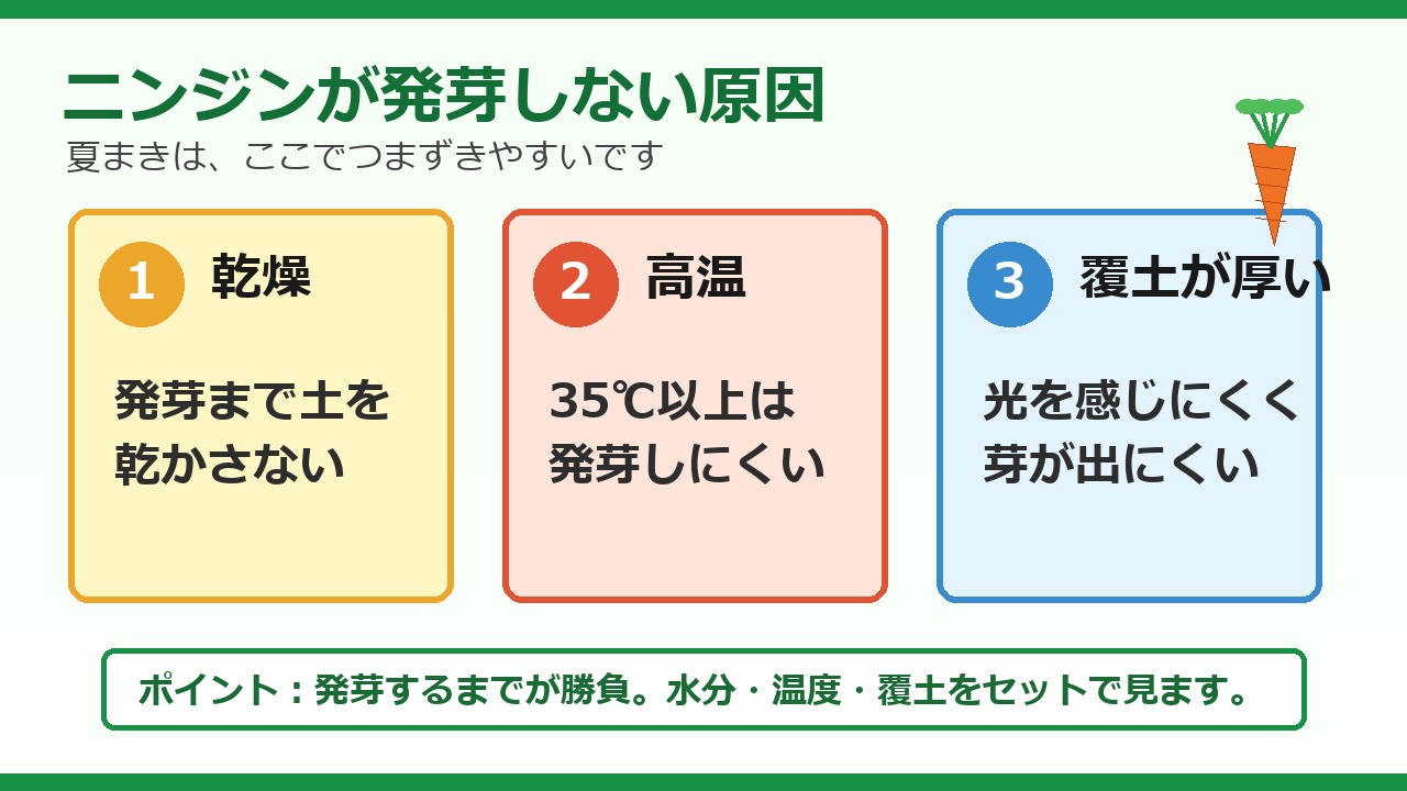 ニンジンが発芽しない原因として乾燥 高温 覆土が厚いことを説明する画像
