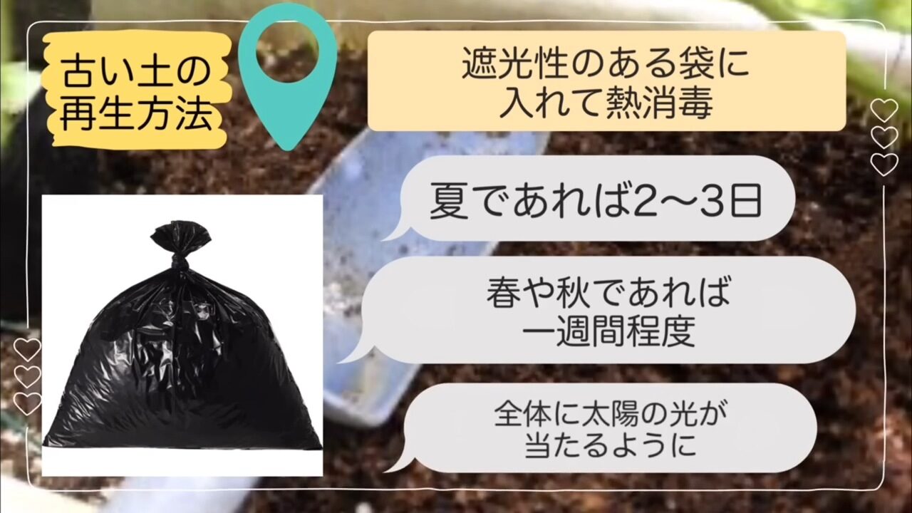 古い土を黒い袋へ入れて太陽熱処理する方法