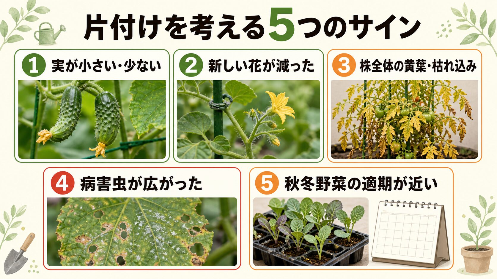 夏野菜の片付けを考える5つのサイン