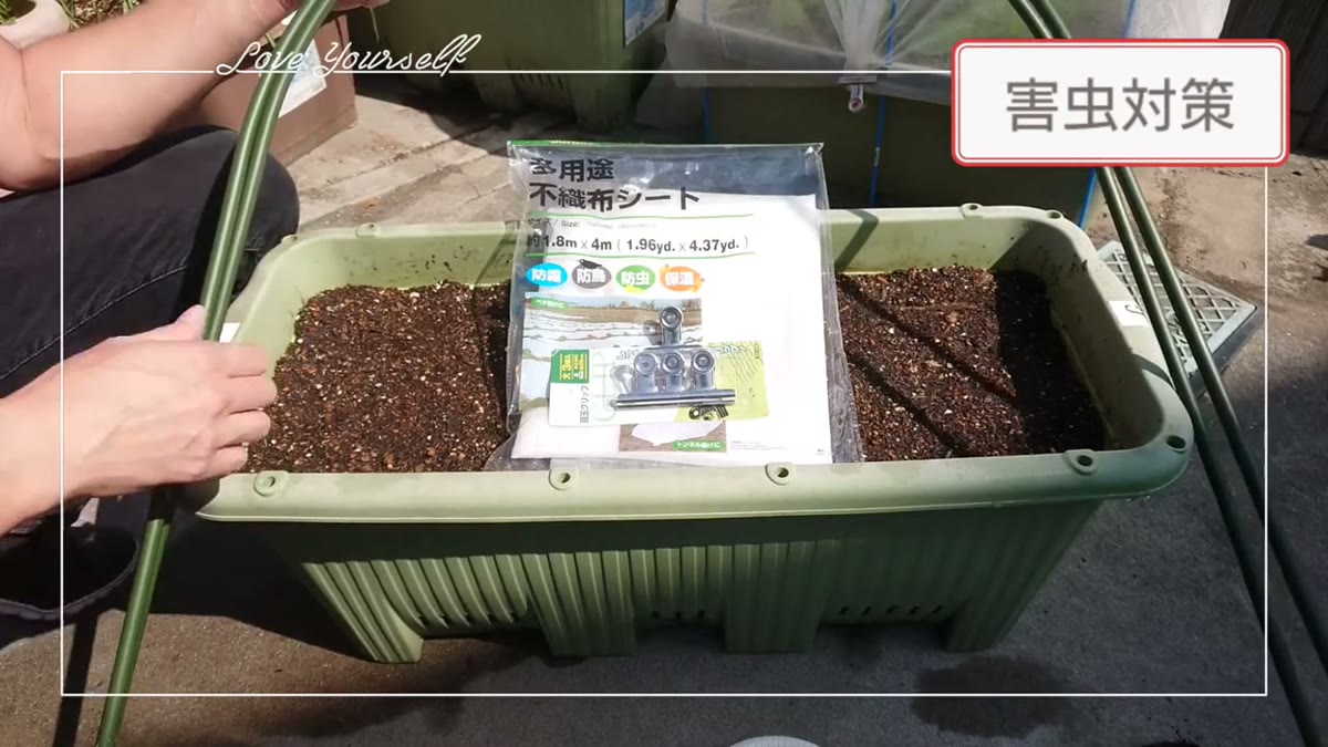 ラディッシュの害虫対策に使うポールと不織布とクリップ
