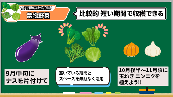 ナスの後作に育てやすい葉物野菜を紹介する画像