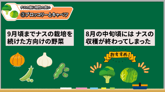 ナスの後作にブロッコリーとキャベツがおすすめな理由を解説する画像