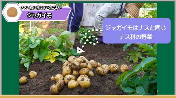 ナスと同じナス科のジャガイモを後作で避ける理由を解説する画像