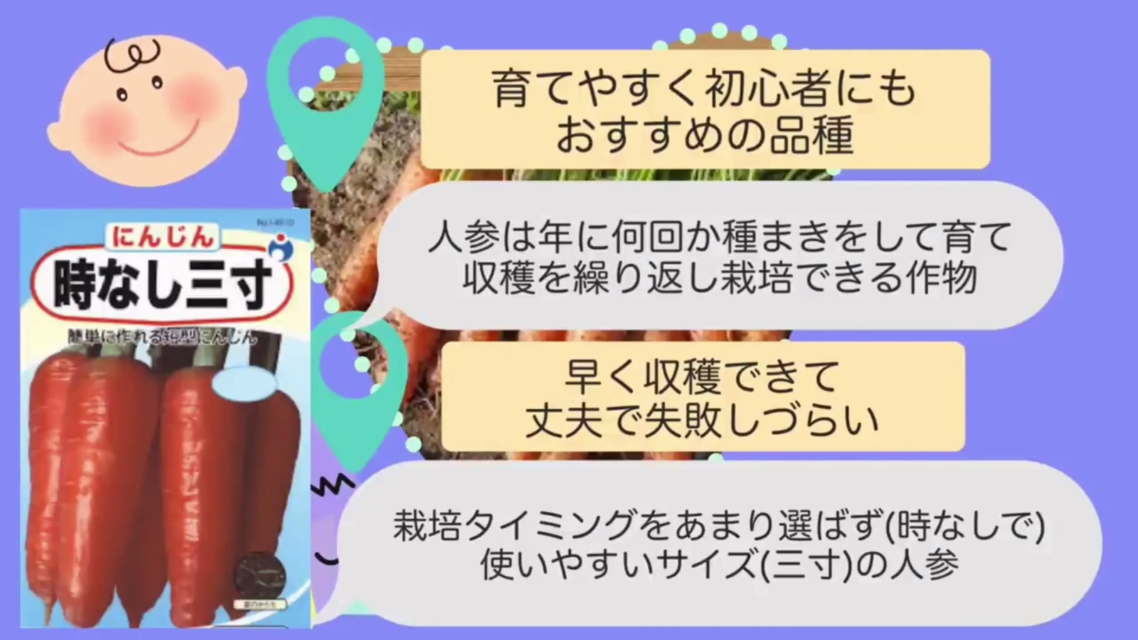 プランター初心者にも育てやすい時なし三寸ニンジン