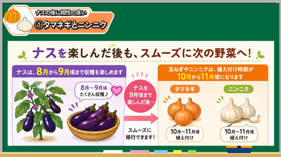 ナスの後作に玉ねぎとニンニクがおすすめな理由を解説する画像