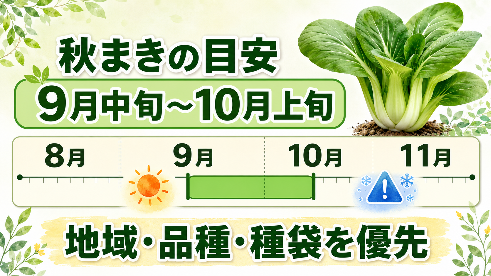 チンゲン菜の秋まき時期は9月中旬から10月上旬が目安