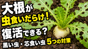 大根の葉が虫食いになった時の復活判断と黒い虫・芯食い虫への5つの対策