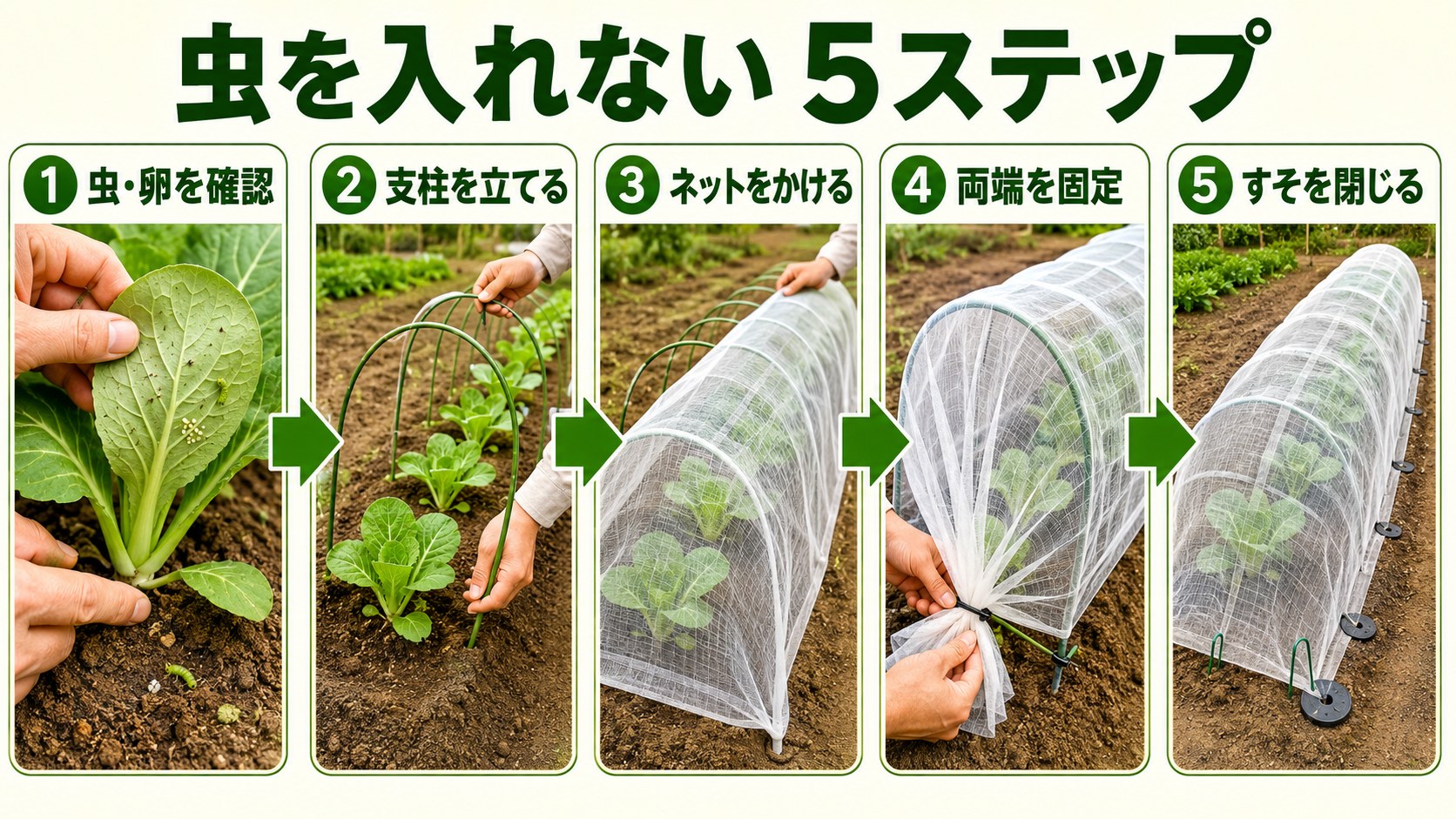 虫を入れない防虫ネットの張り方5ステップ