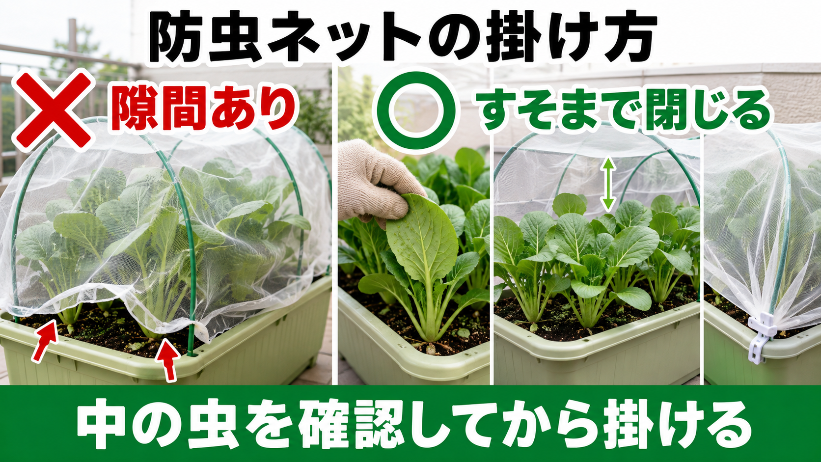 防虫ネットに隙間がある失敗例とすそまで閉じた例の比較