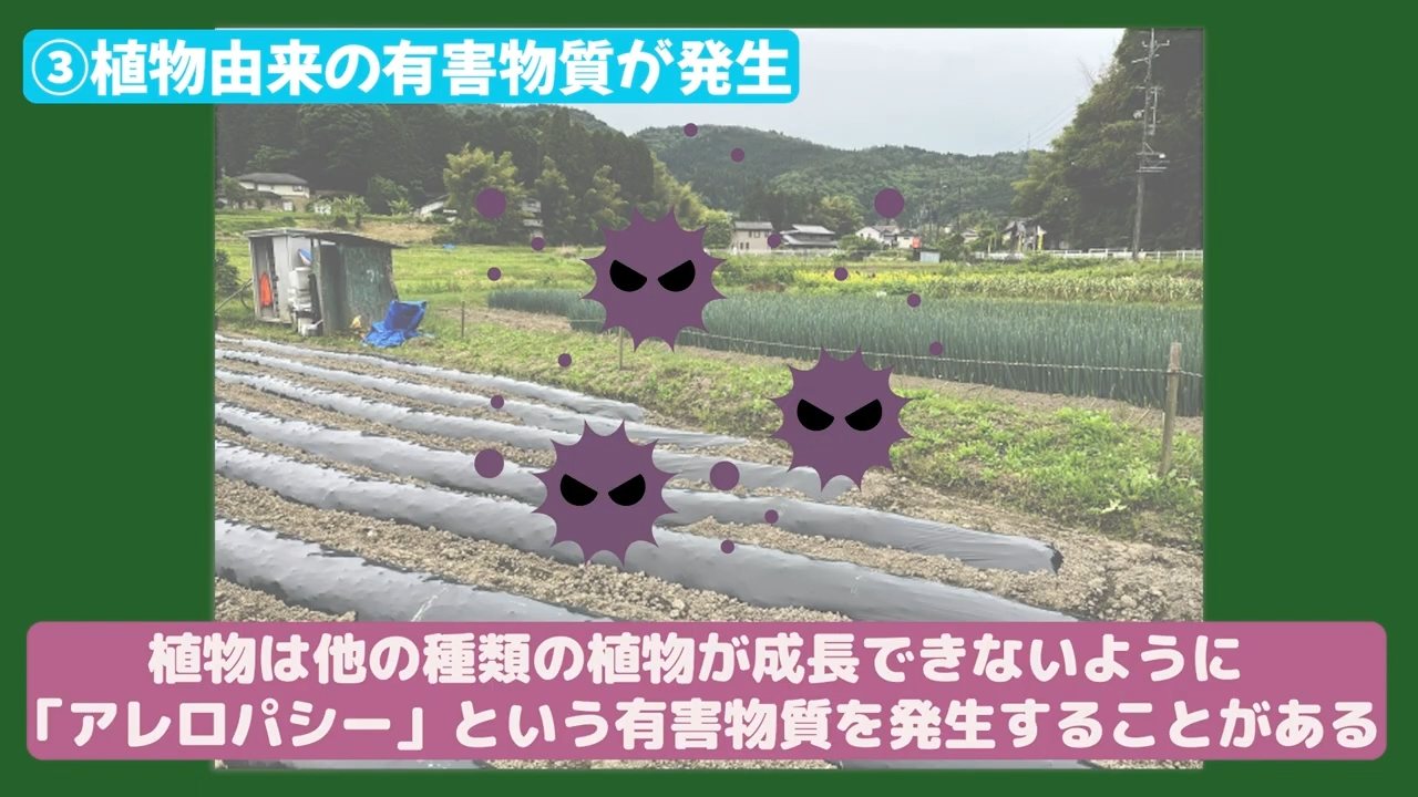 植物由来の有害物質アレロパシーの説明