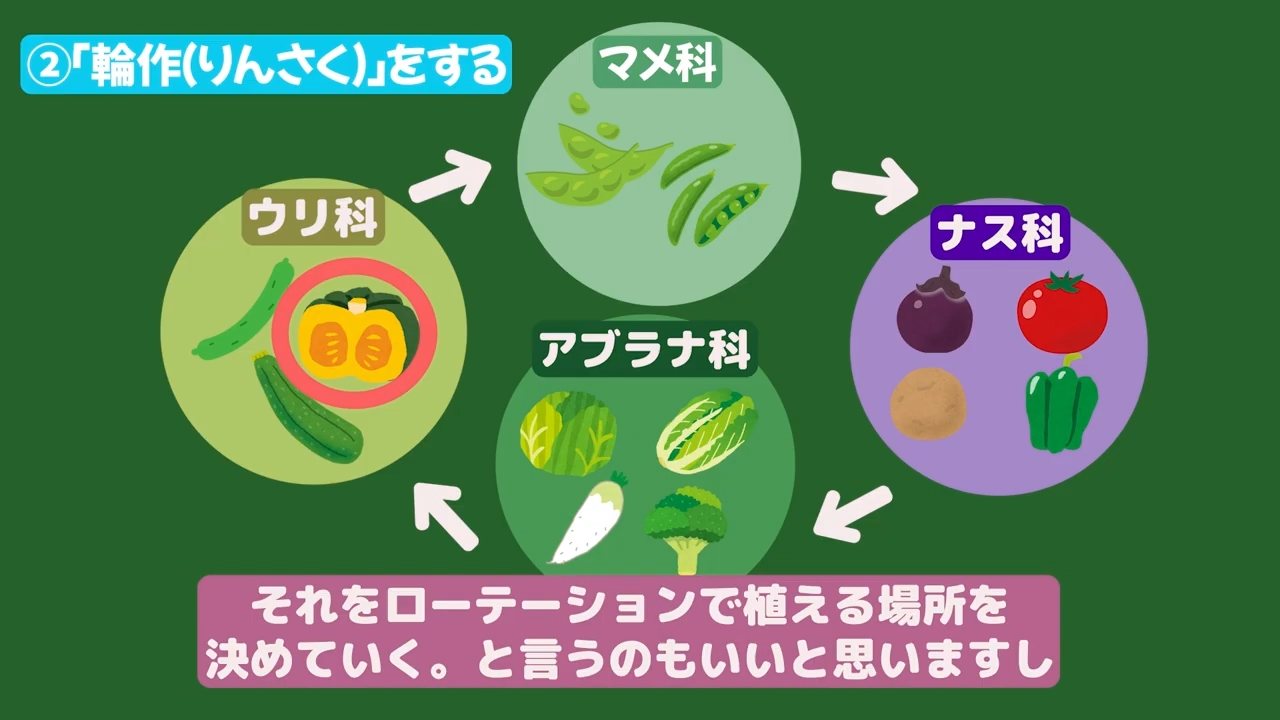 ナス科、ウリ科、マメ科、アブラナ科を順番に育てる輪作例