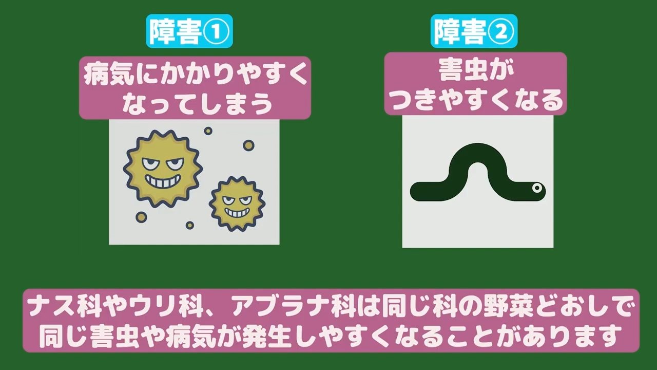 連作障害で病気や害虫が発生しやすくなる説明
