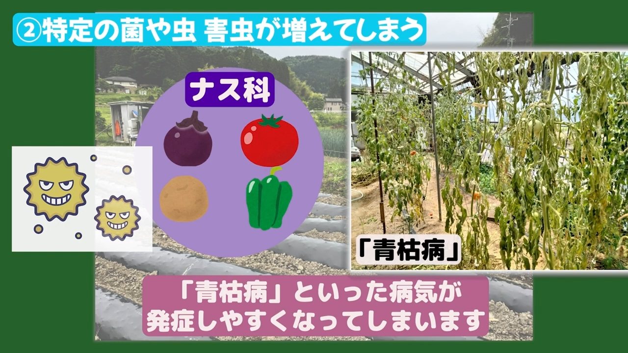 青枯病など特定の病原菌や害虫が土で増える説明