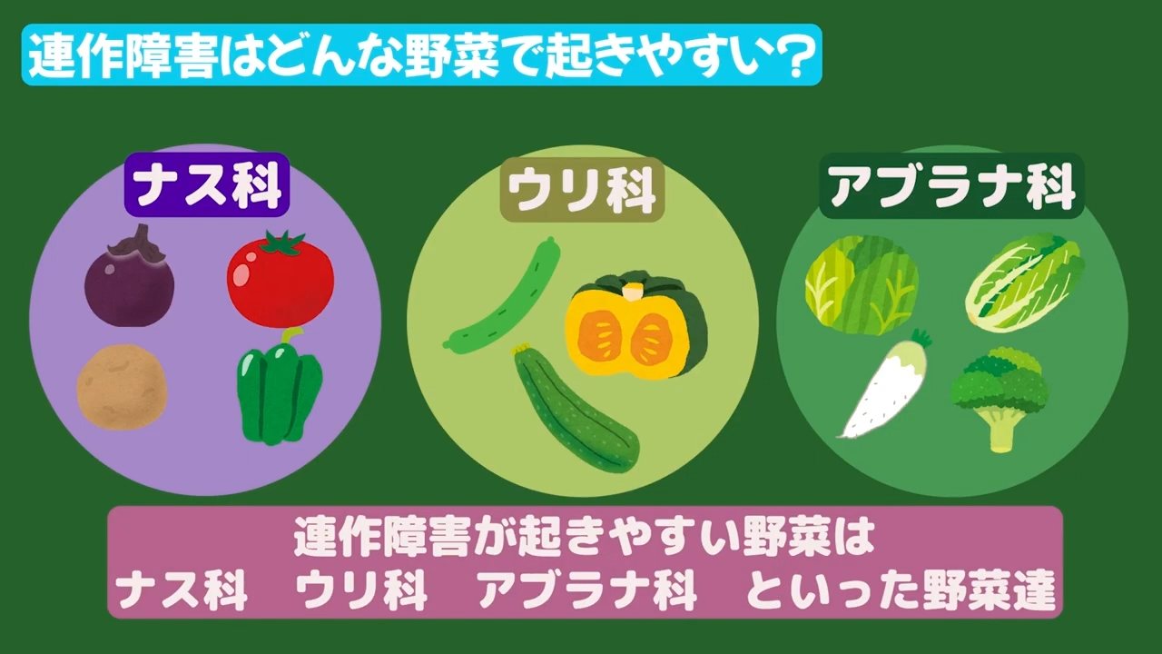 ナス科、ウリ科、アブラナ科など連作障害が起きやすい野菜