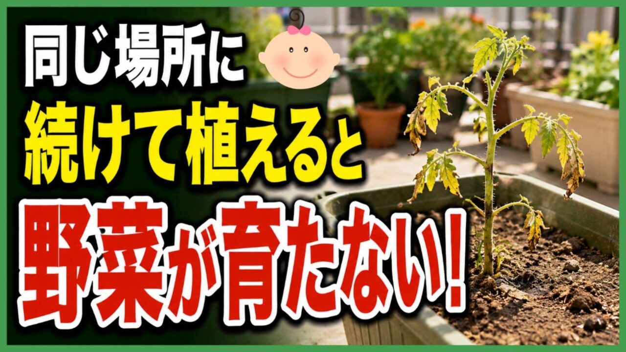 同じ場所に野菜を続けて植えると育たない連作障害を表したアイキャッチ