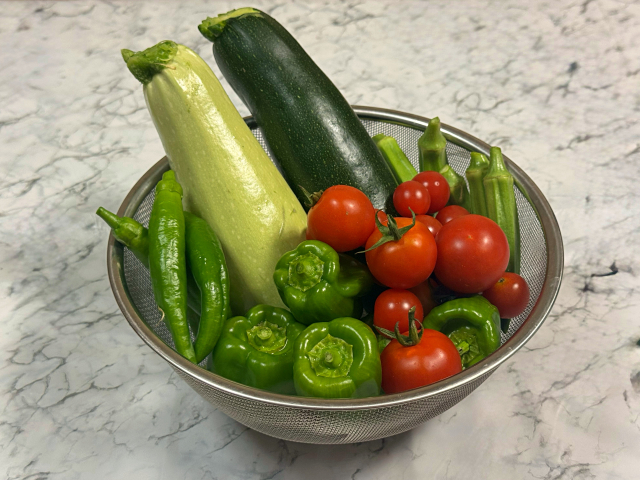 台風前に早めに収穫したトマトやナスなどの夏野菜
