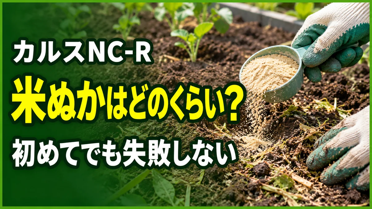 カルスNC-Rの米ぬか量と初心者向けの使い方を説明する記事アイキャッチ